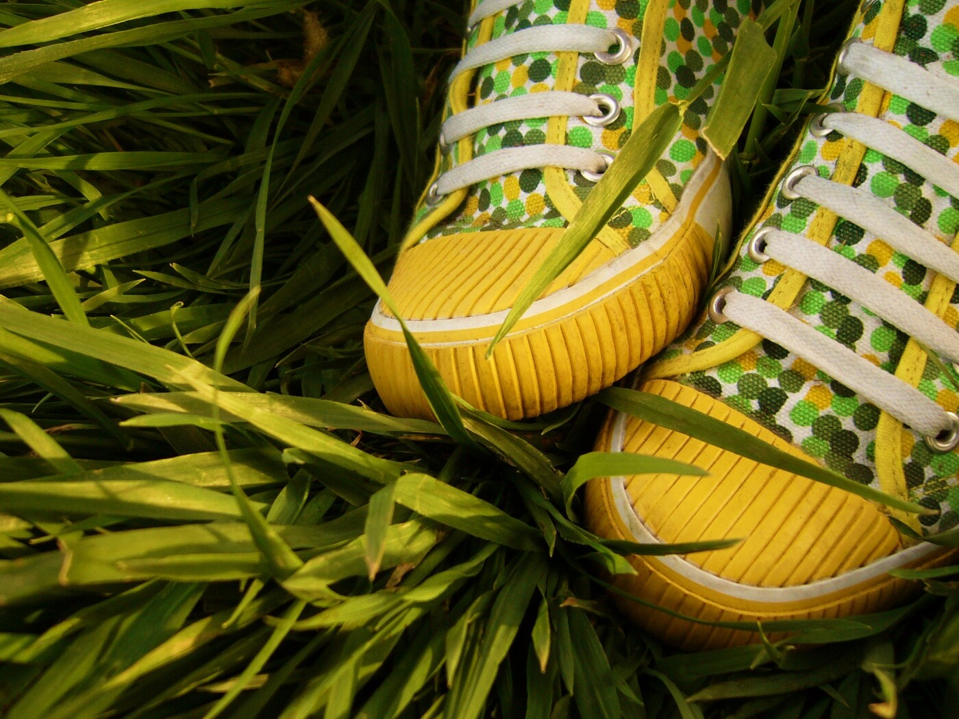 Желтые кеды в горошек обои