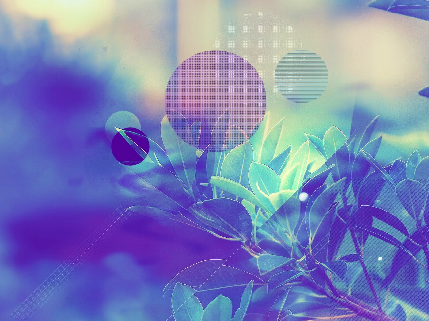 Синий фильтр с кргуами на фото листьев обои