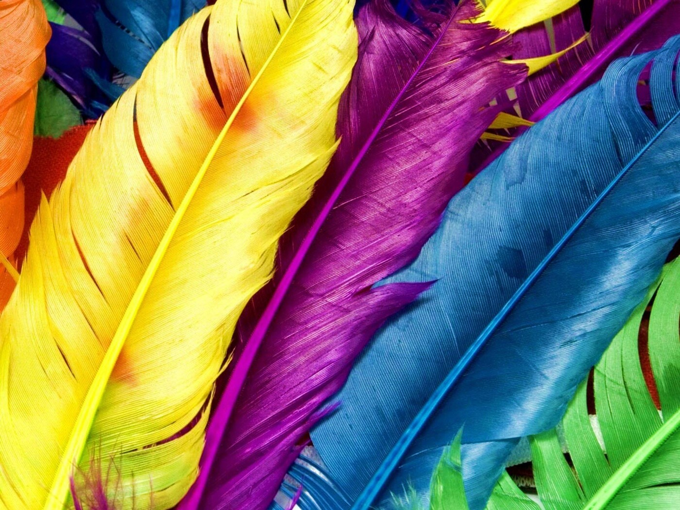 Разноцветные перья обои