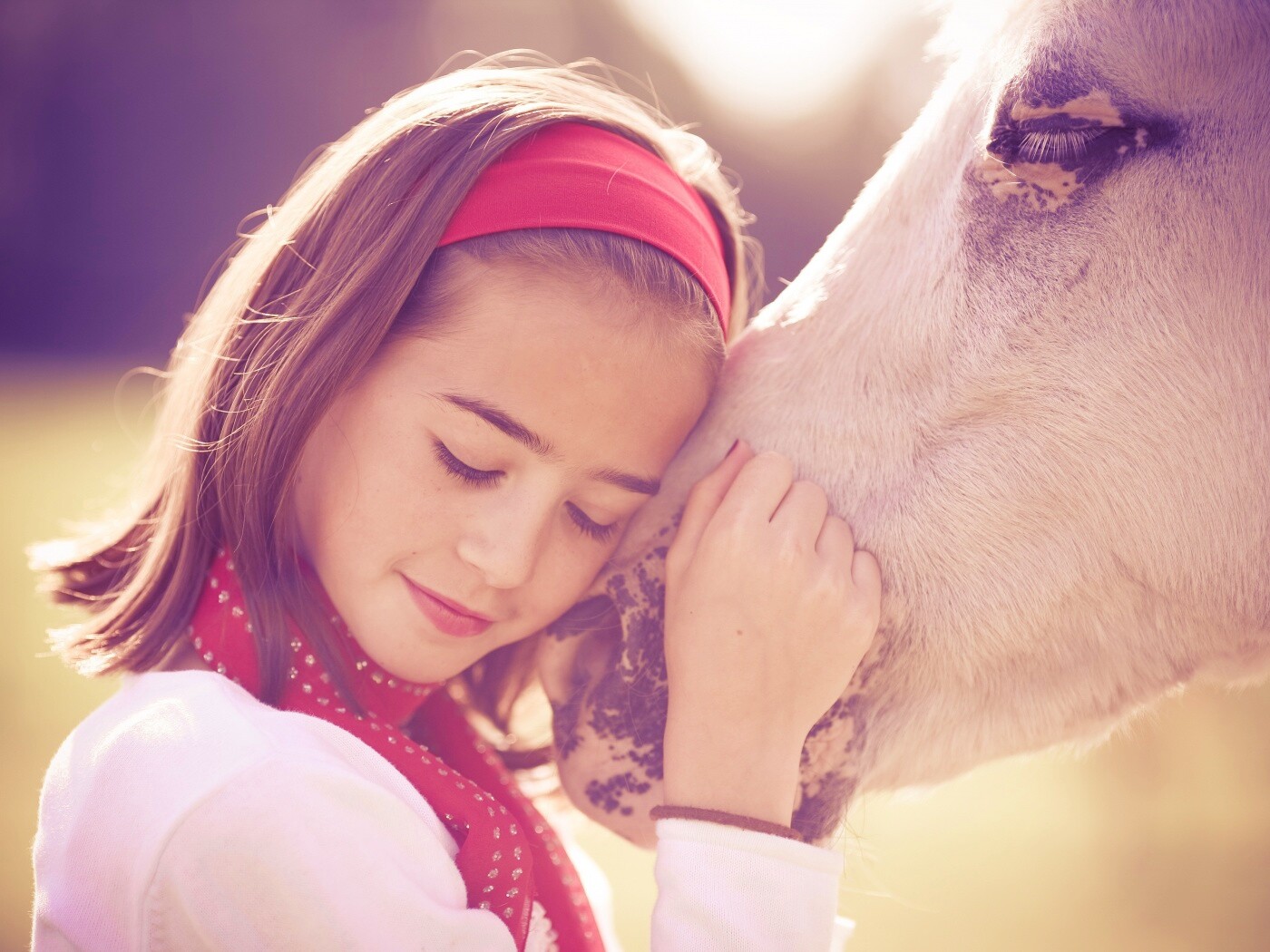 Девочка и лошадь обои