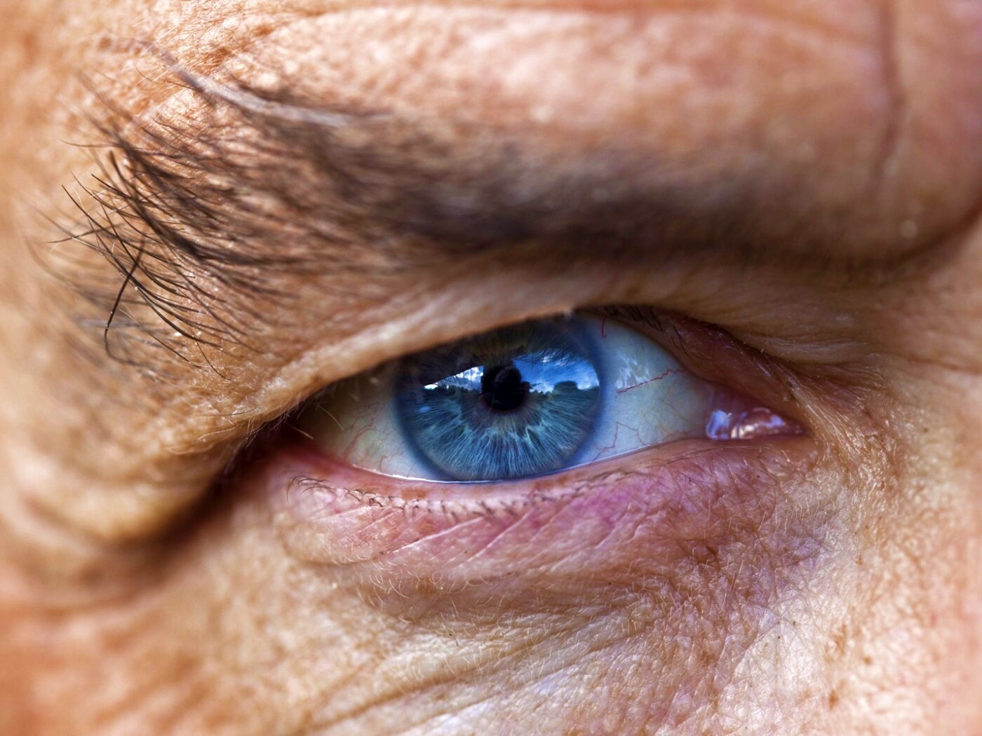 Глаз пожилого человека обои