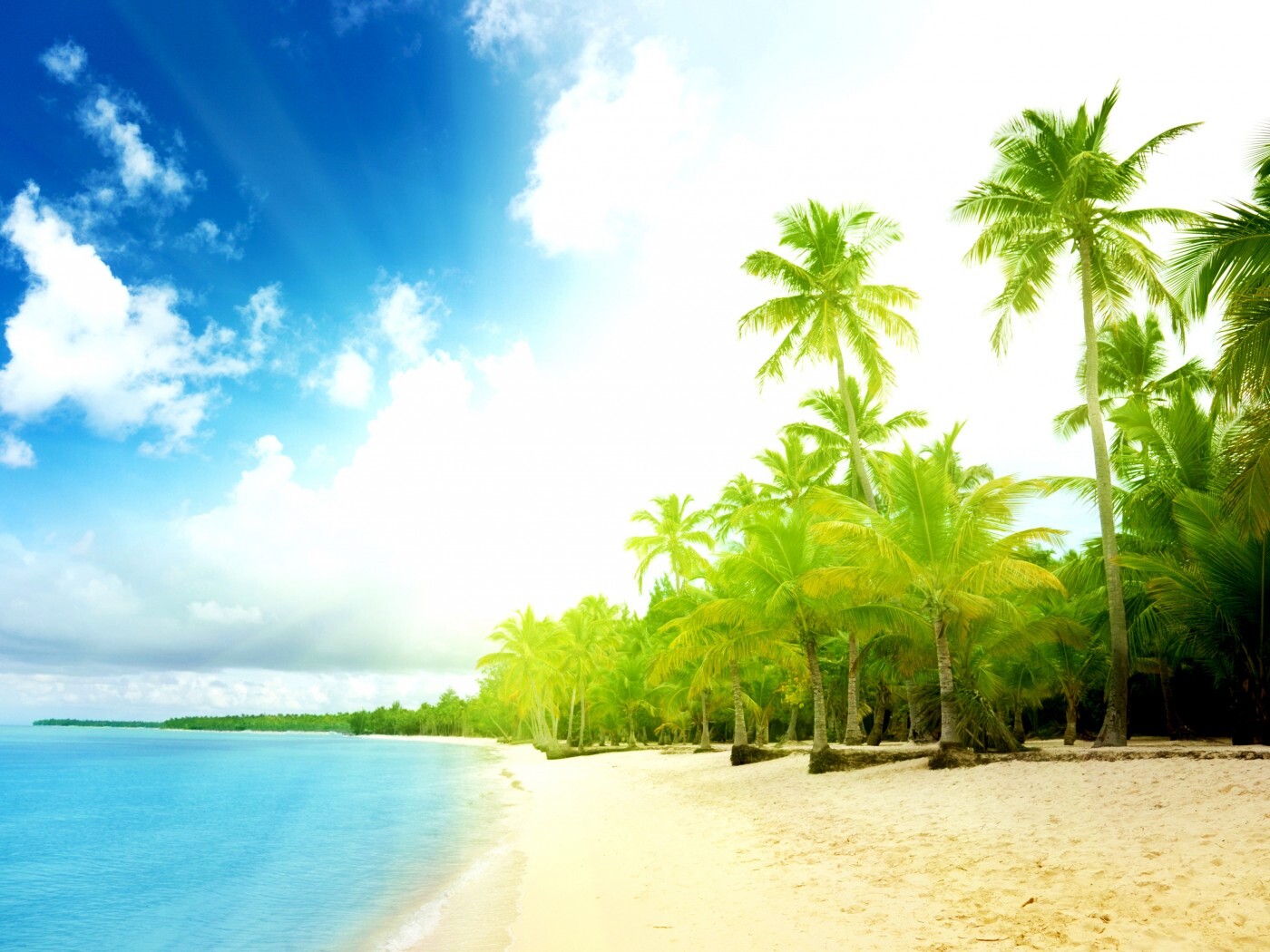 Тропическое побережье обои