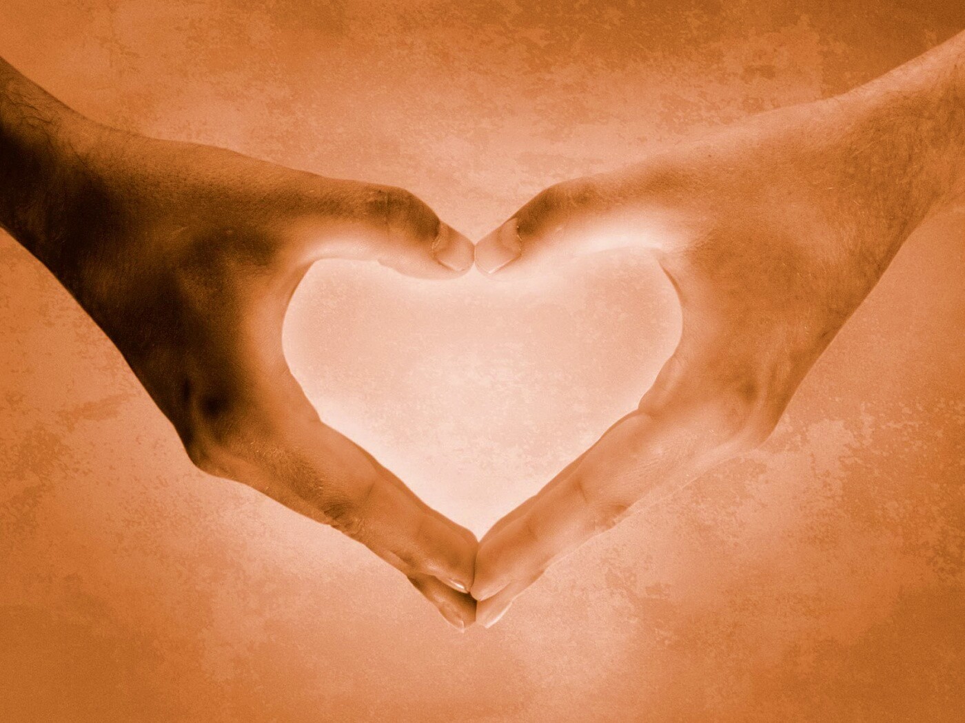 Сердце из сложенных рук обои