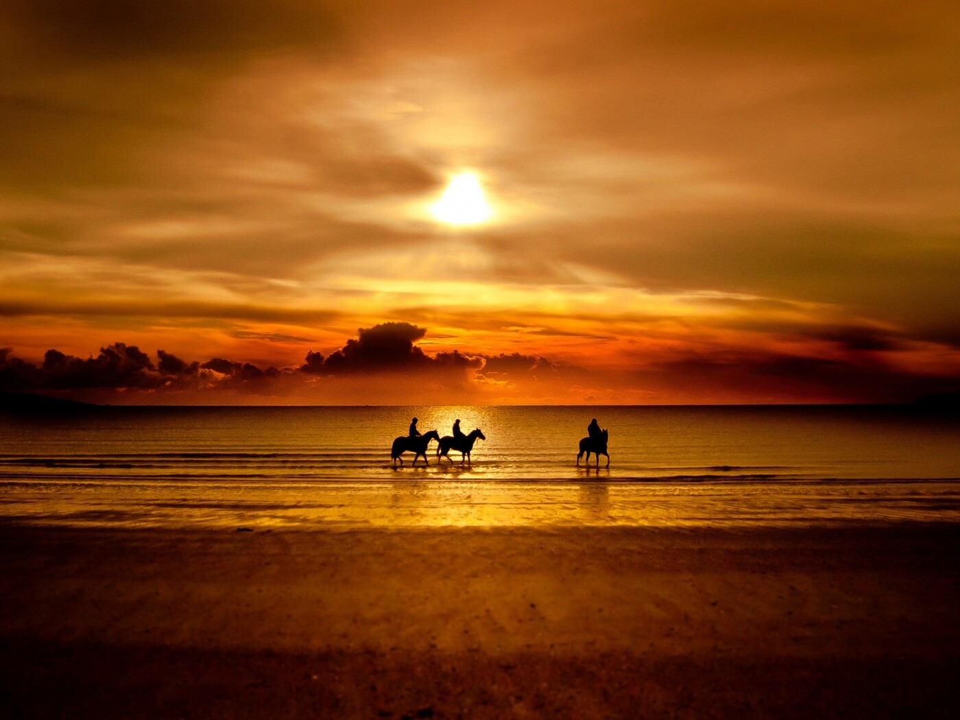 Наездники на закате обои