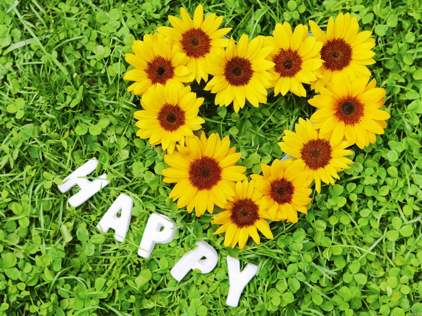 Радость обои