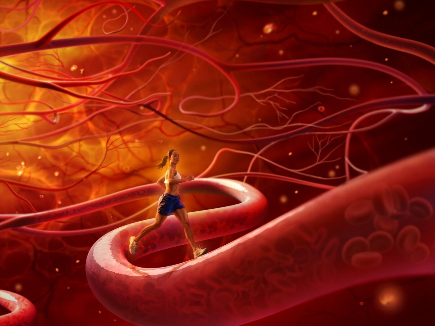 Бег крови обои