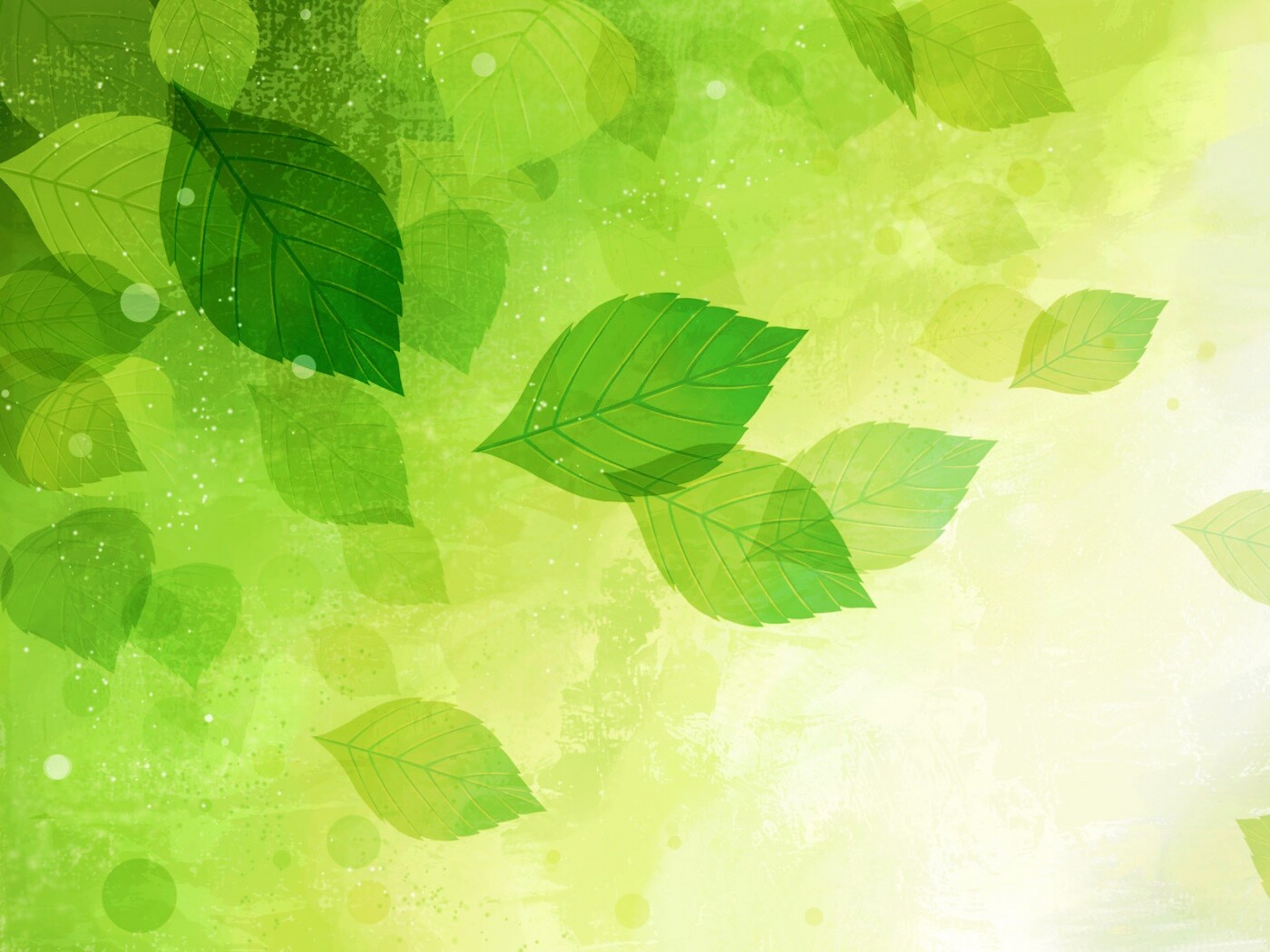 Прозрачные листья обои