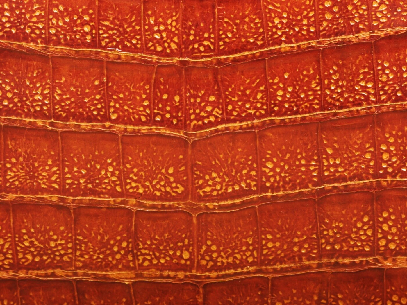 Текстура крокодильей кожи обои