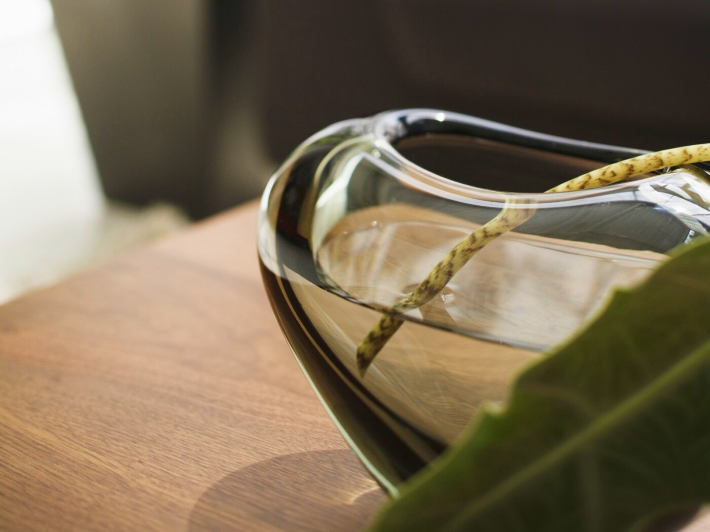 Ваза с листом обои