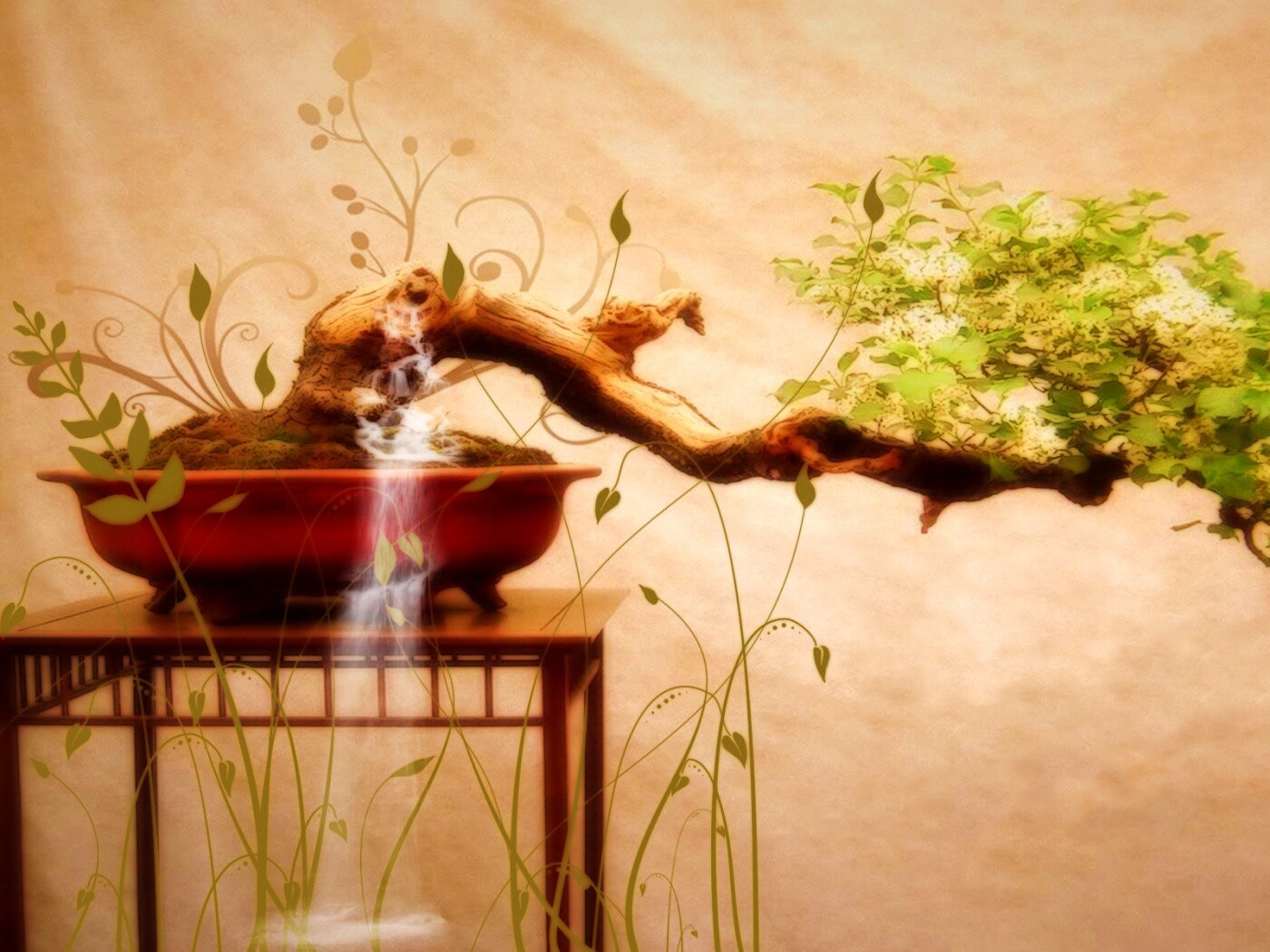 Карликовое дерево обои