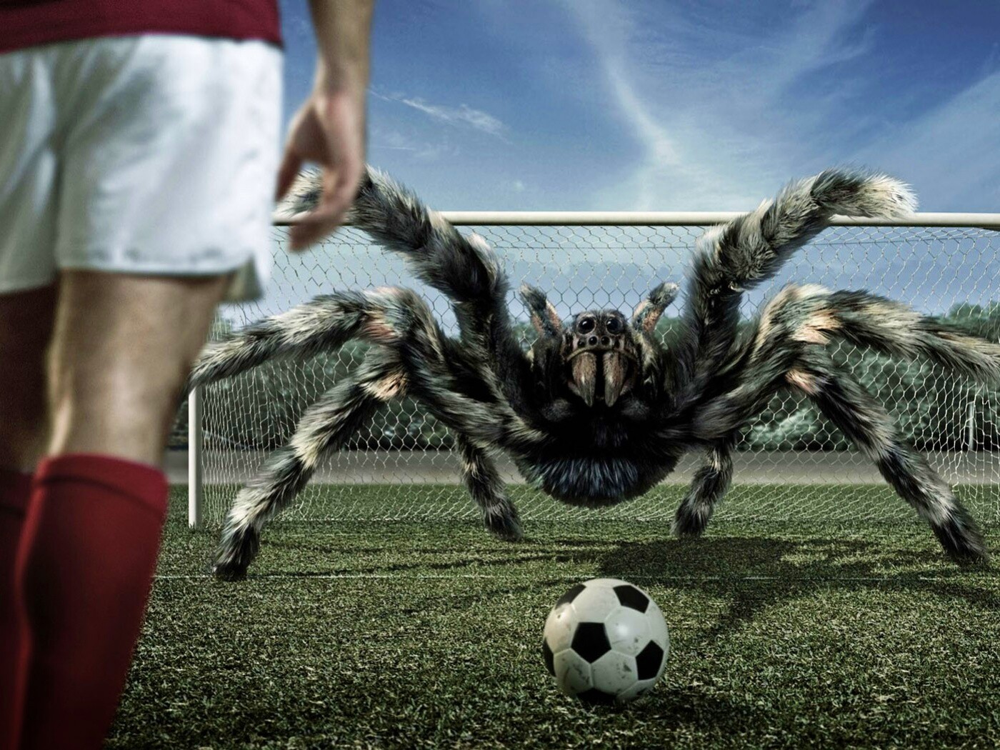 Вратарь обои