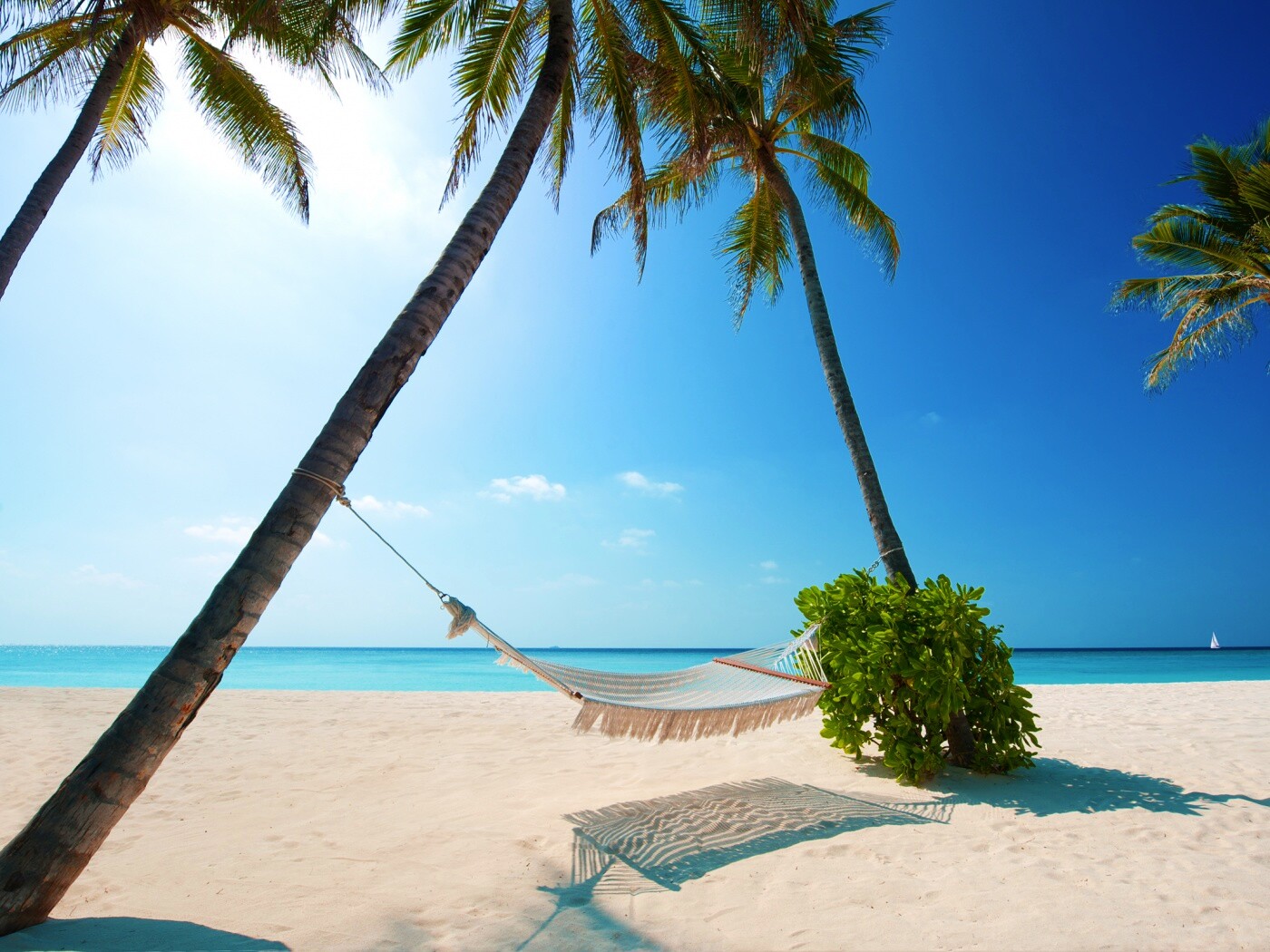 Тропический рай обои