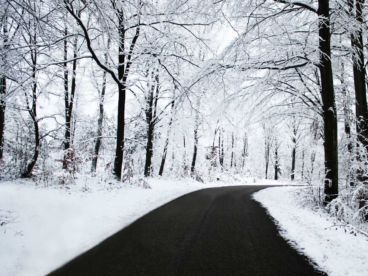 Дорога в зимнем лесу обои