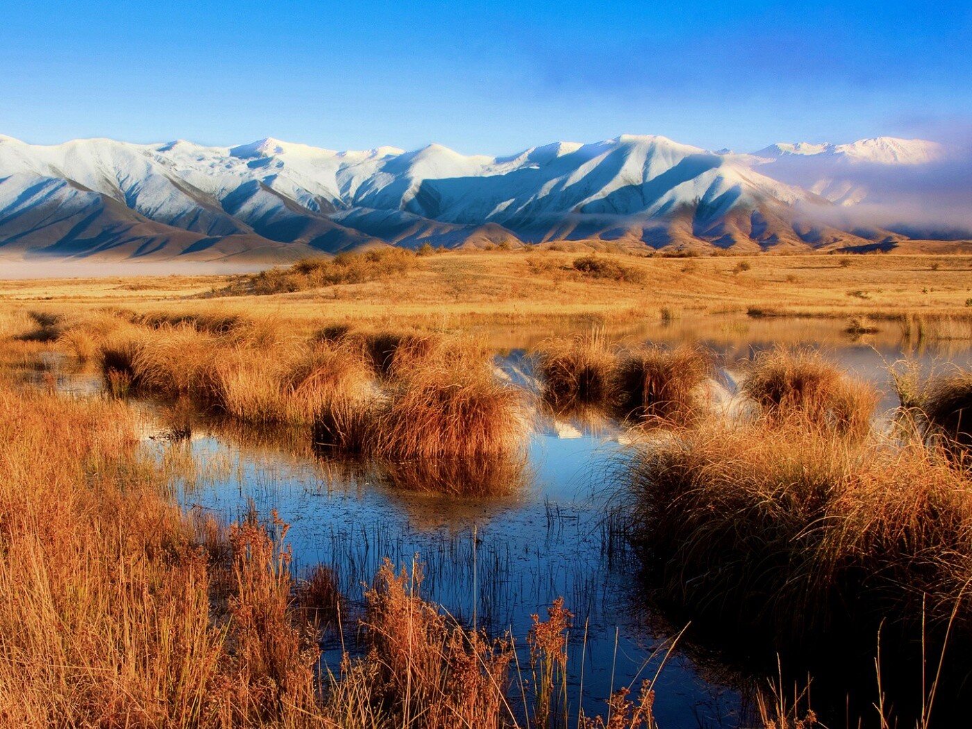 Болото и снежные горы обои