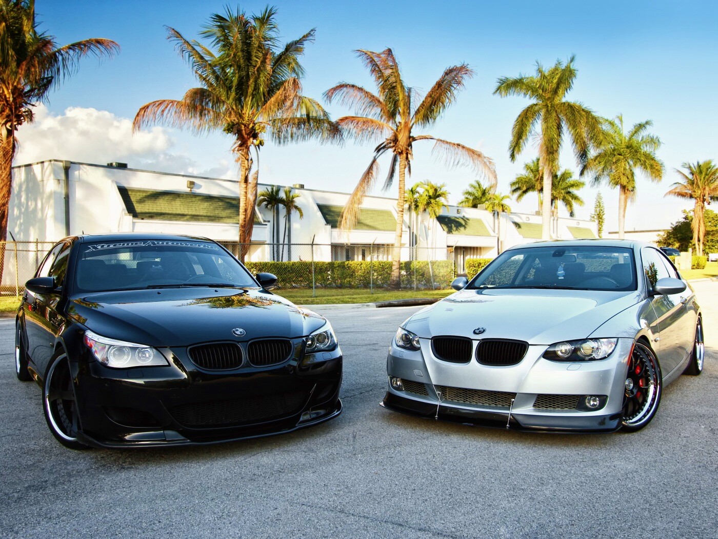 Две БМВ обои