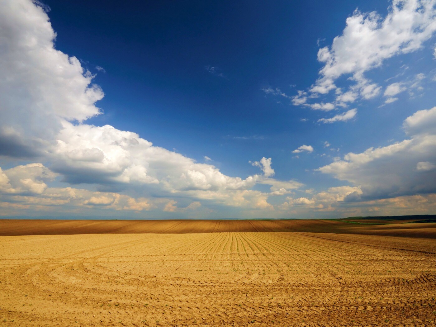 Незасеянное поле обои