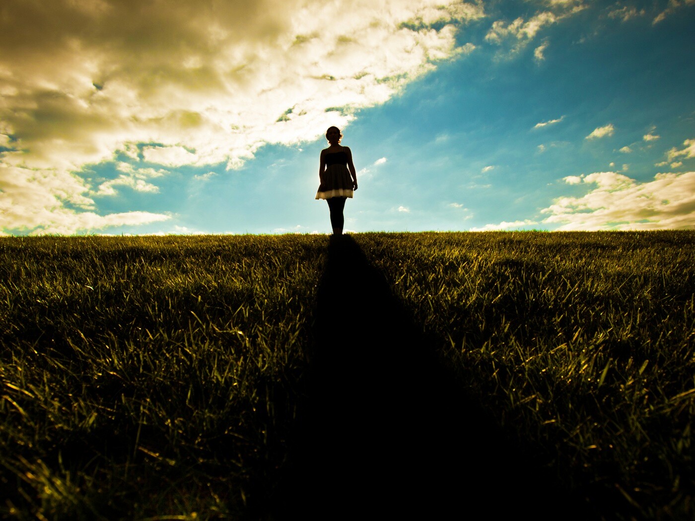 Силуэт девочки на поле обои