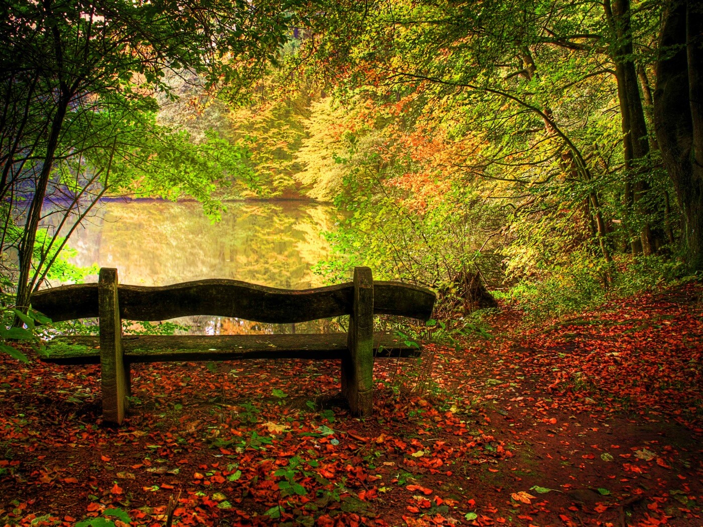 Скамейка в лесу обои