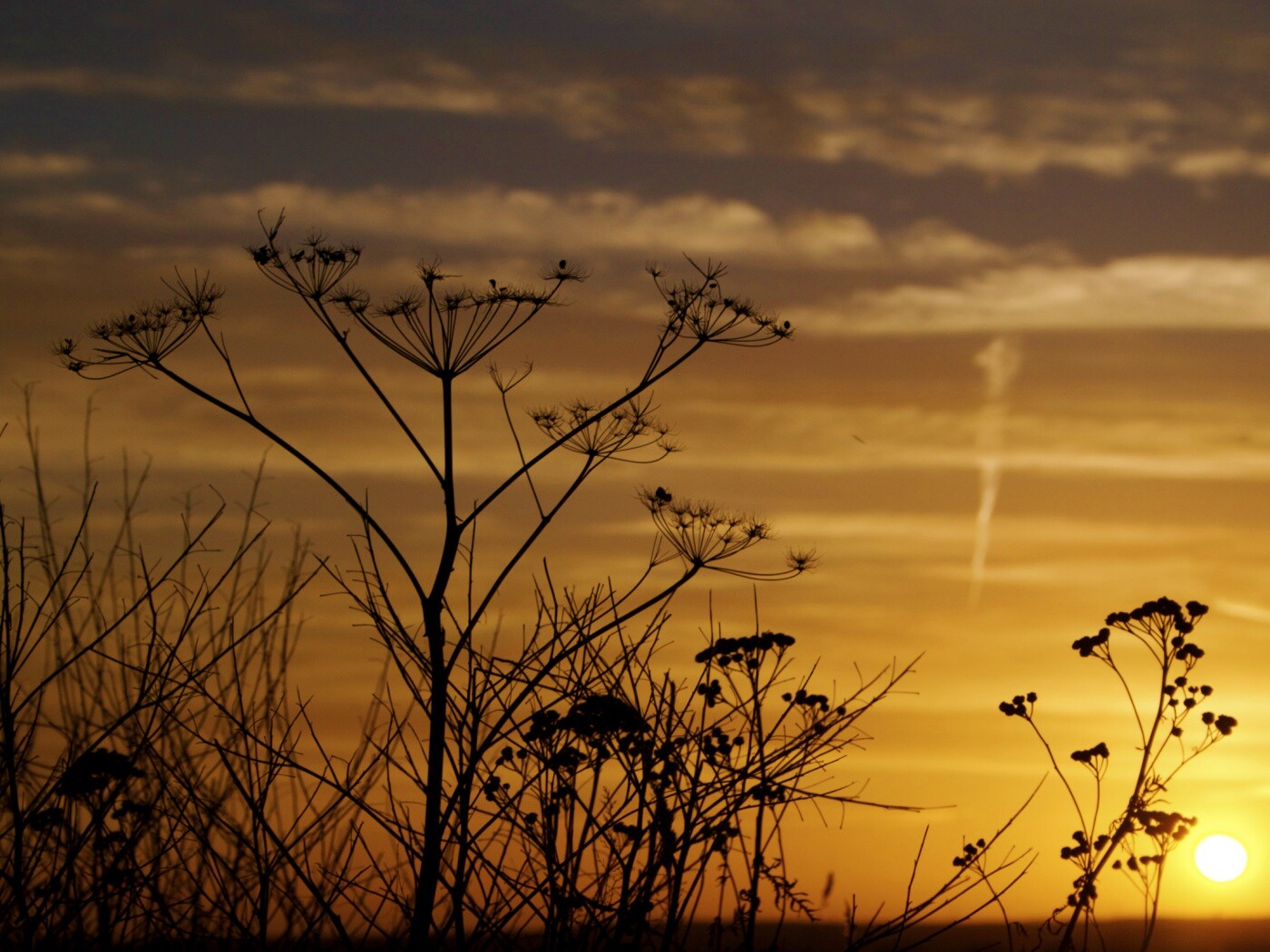 Степной закат обои