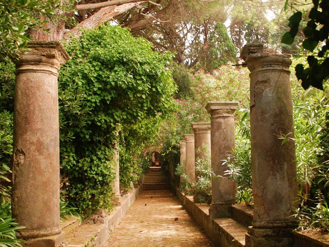 Галерея зимнего сада обои