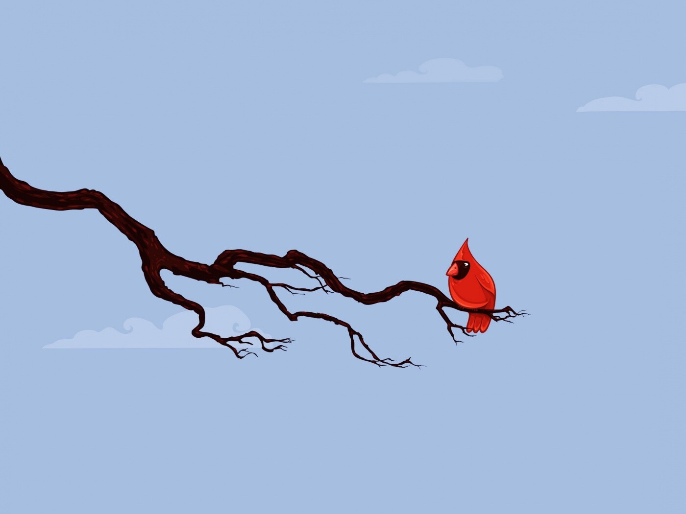 Красная птица на ветке обои