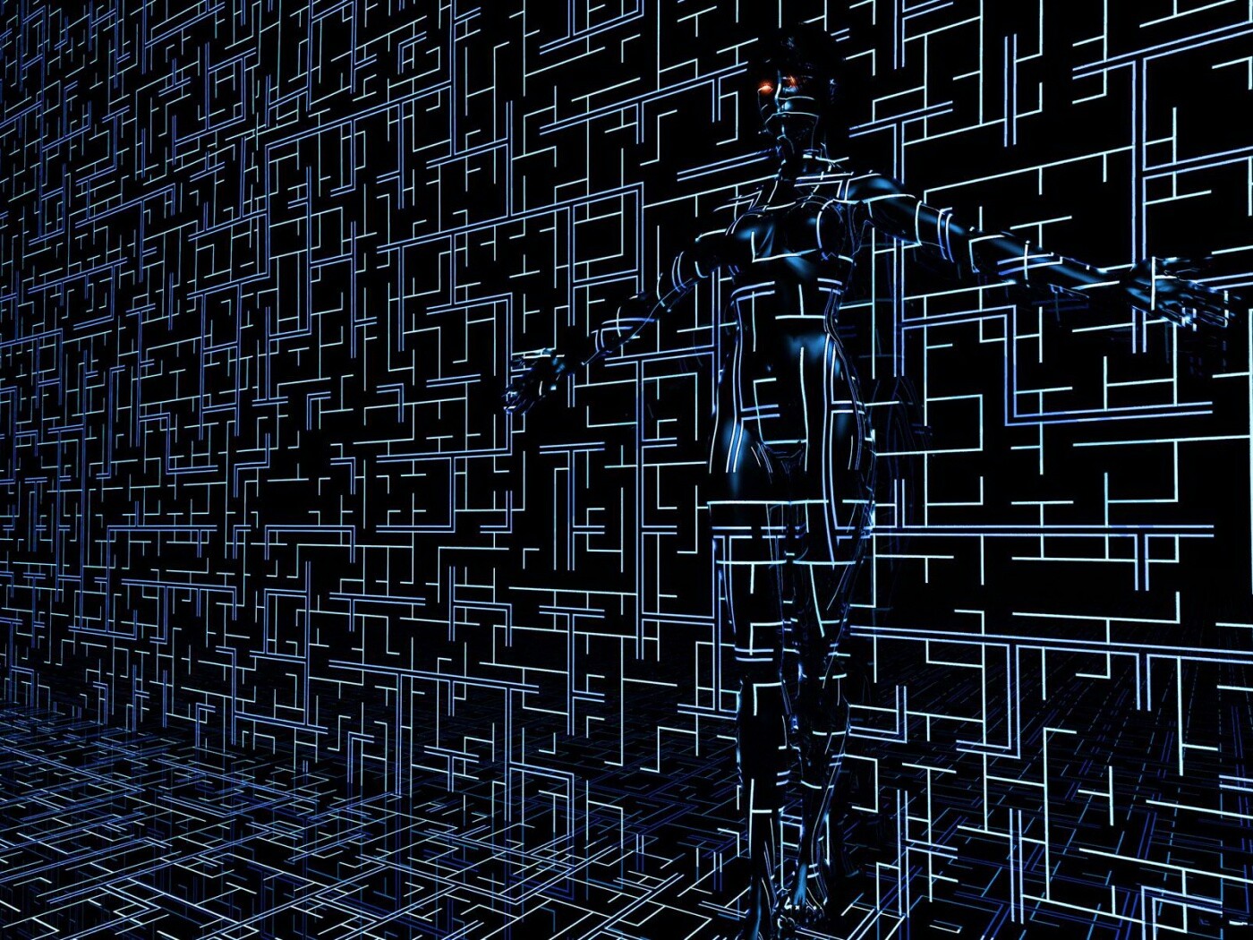 Невидимка обои