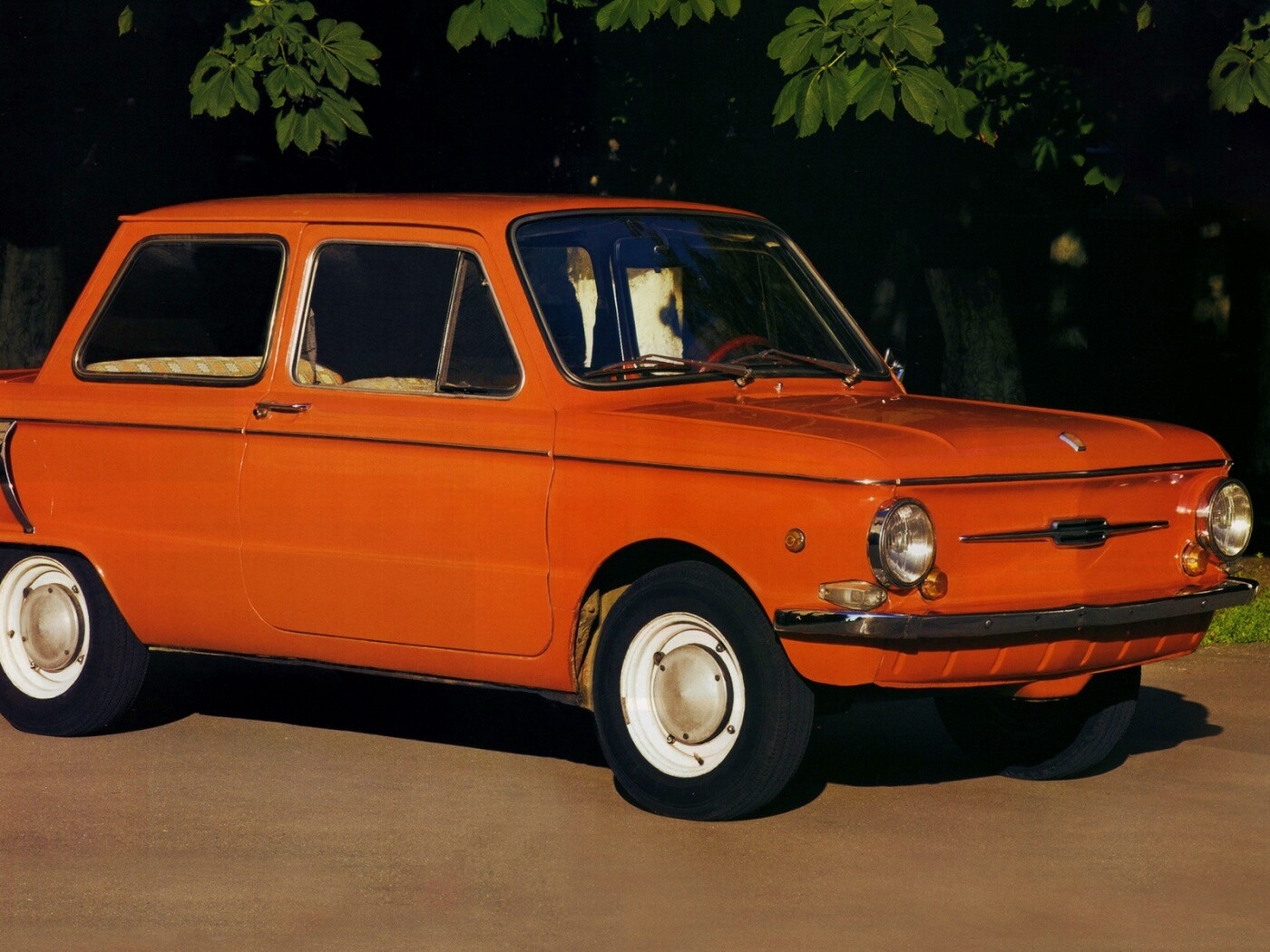 Оранжевый ушастый запорожец обои