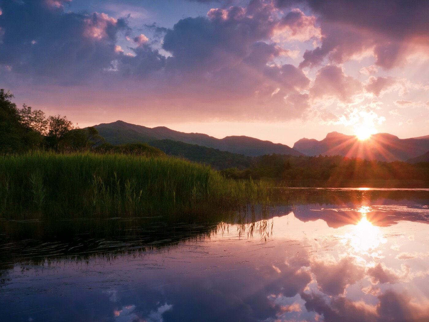 Закат за лесом обои