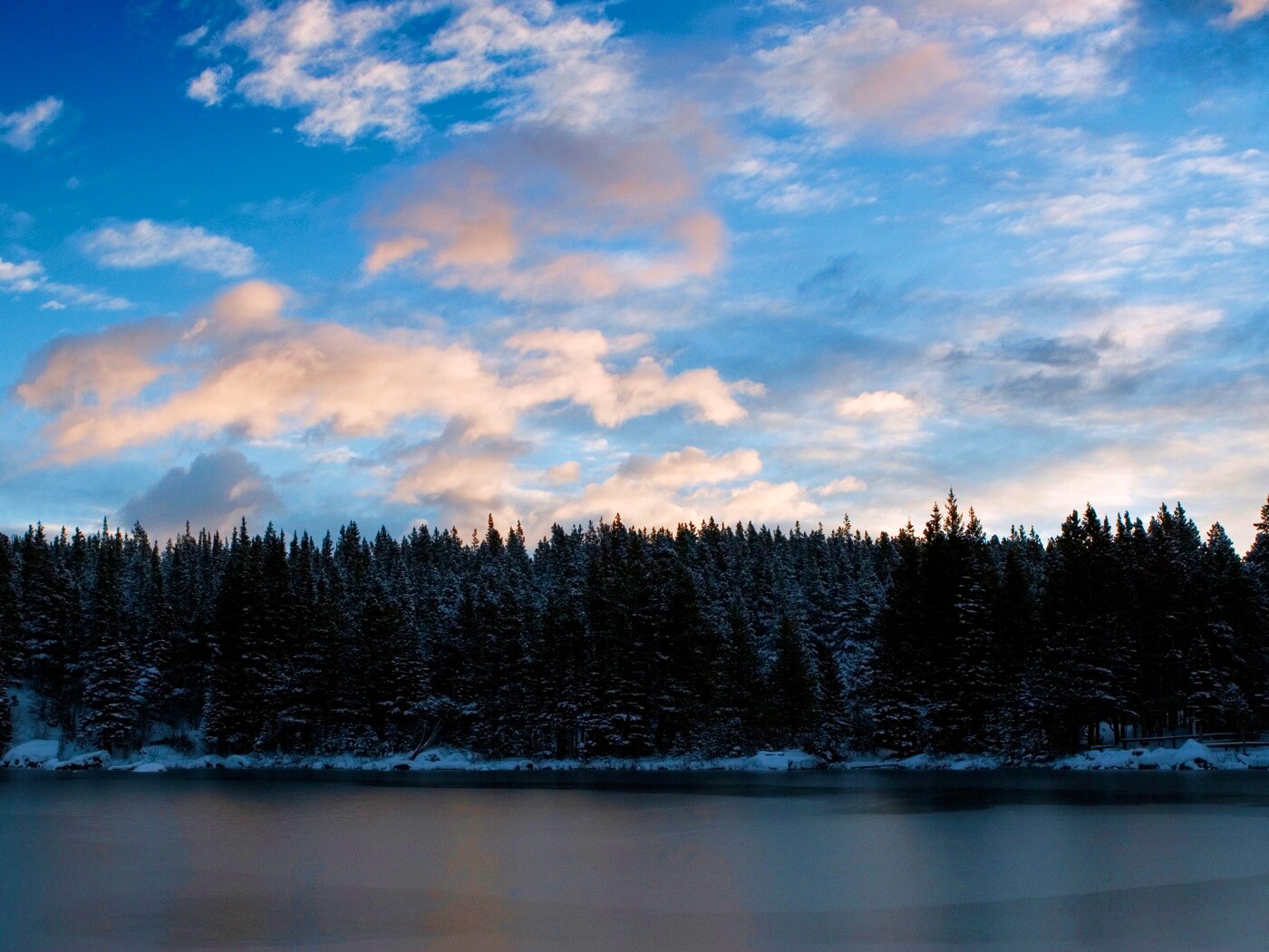 Лес на озере обои