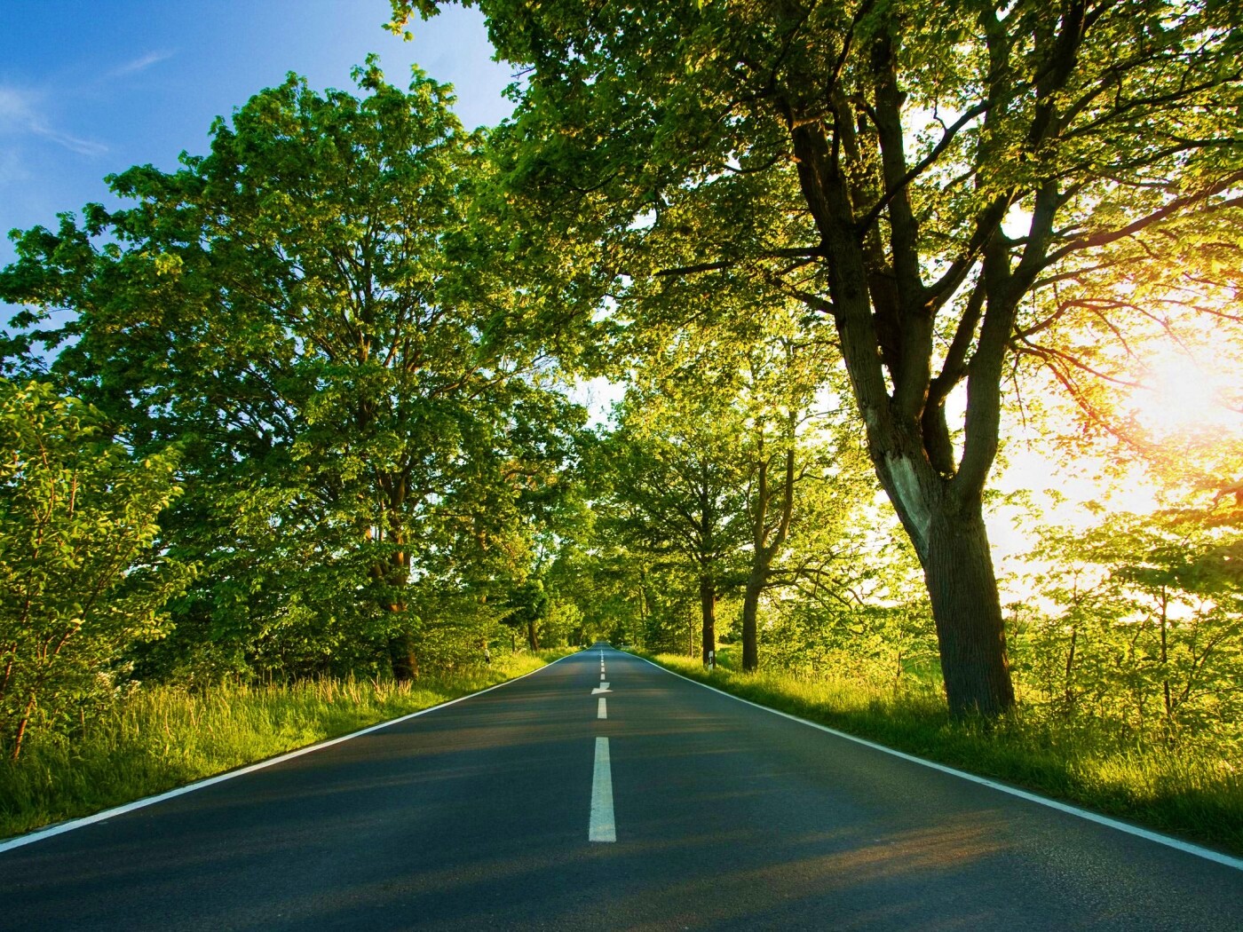 Прямая дорога обои