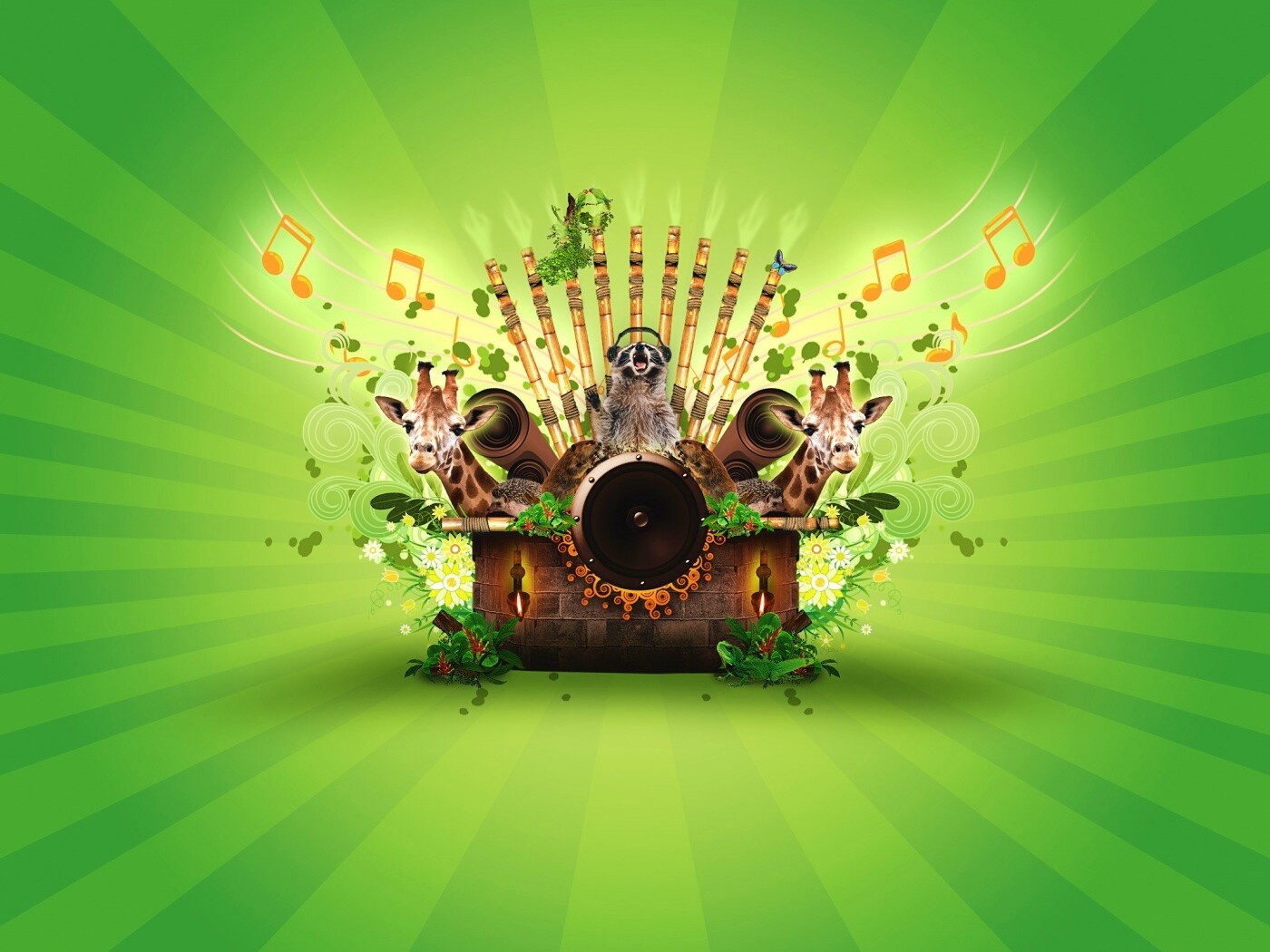 Музыка джунглей обои