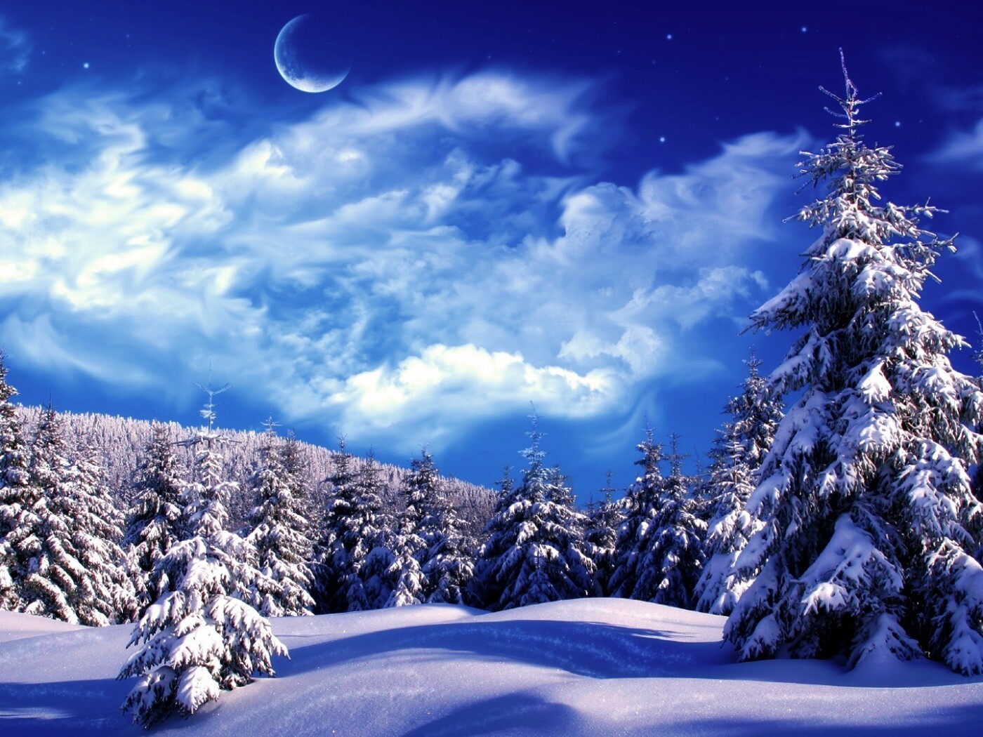 Зимний еловый лес обои