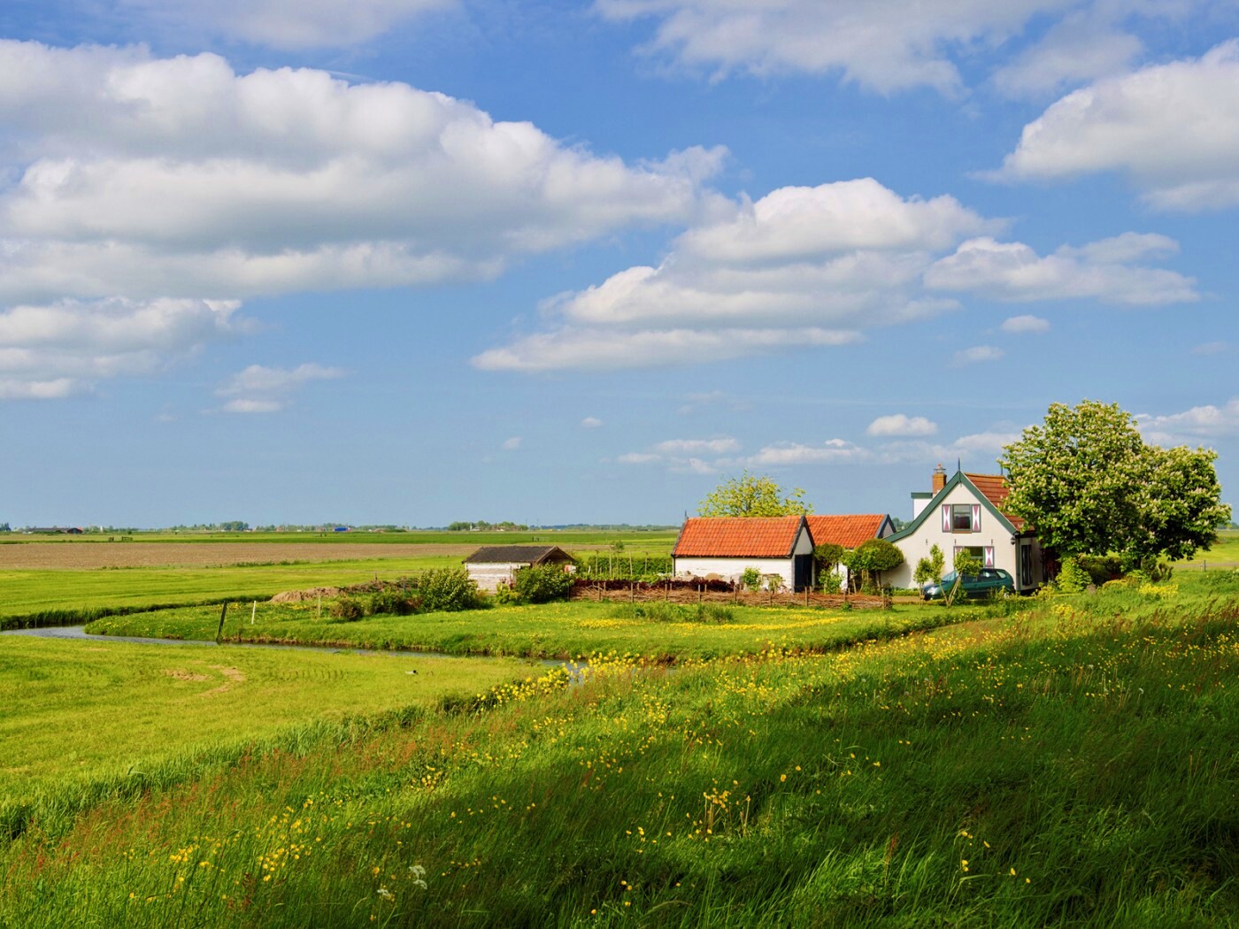 дом на лугу обои