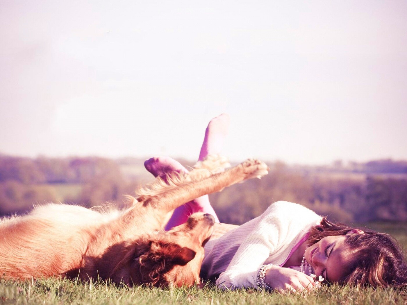 Девушка и собака валяются на траве обои