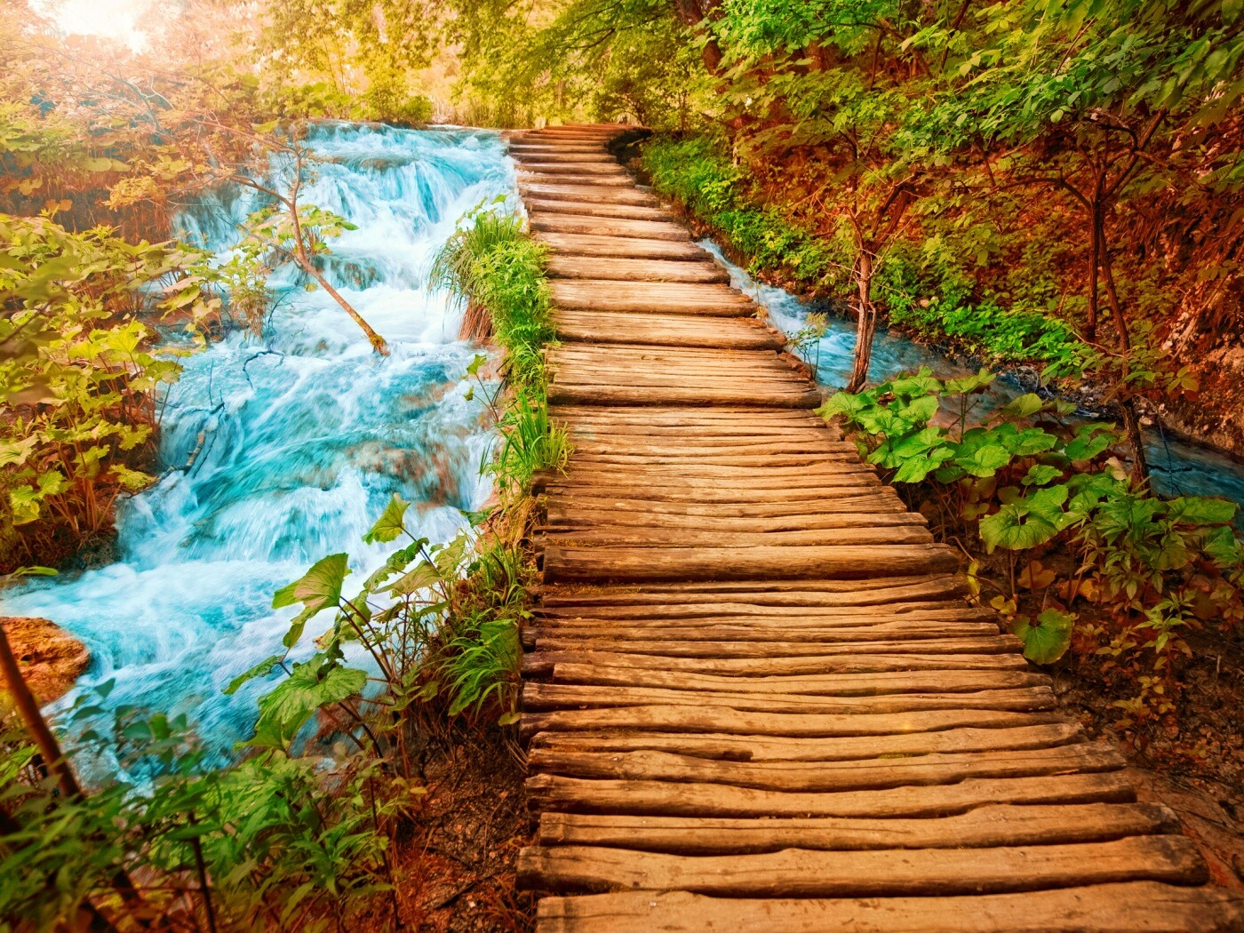 Деревянная дорожка над ручьем обои