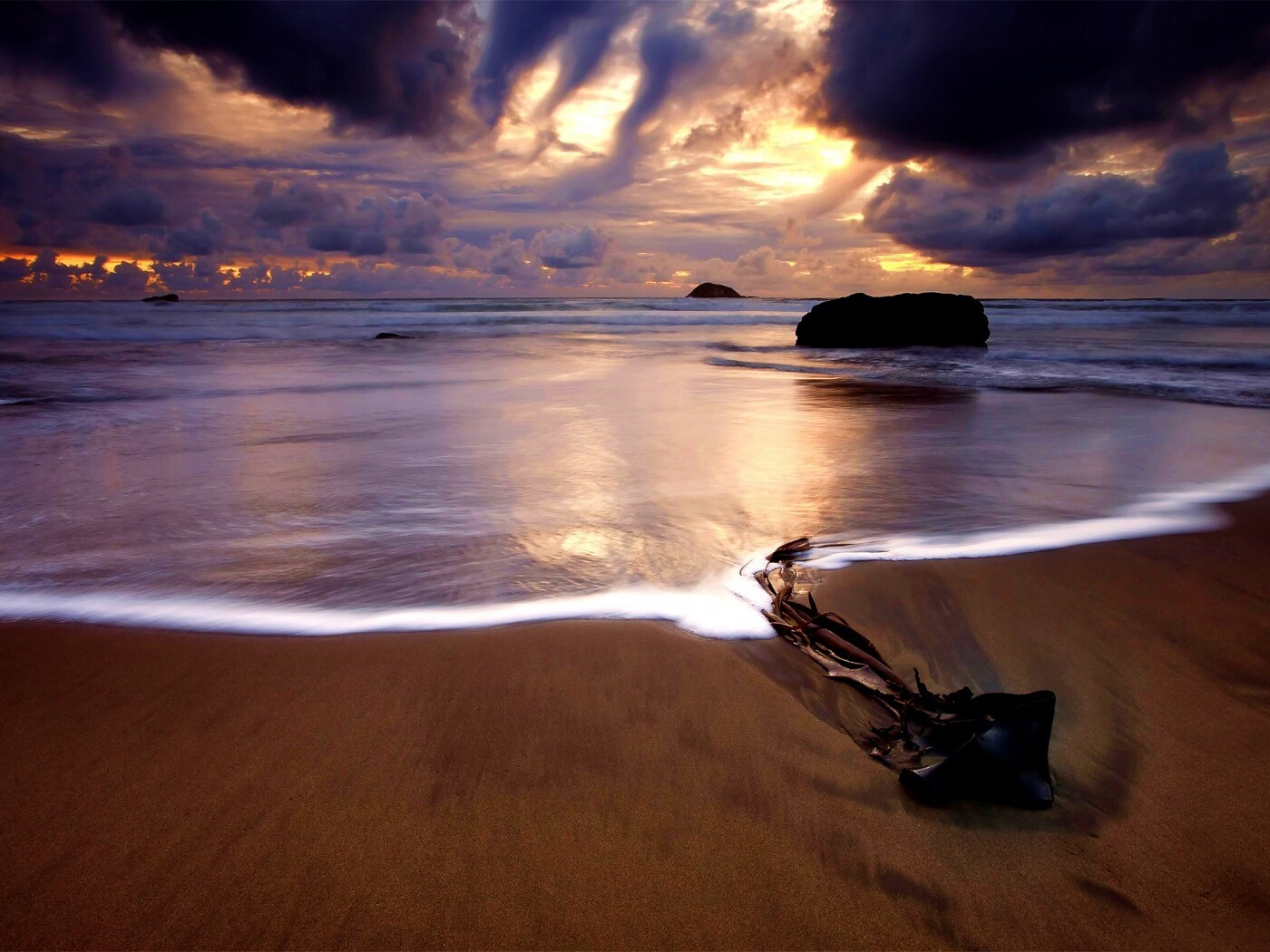 Коряга на пляже обои