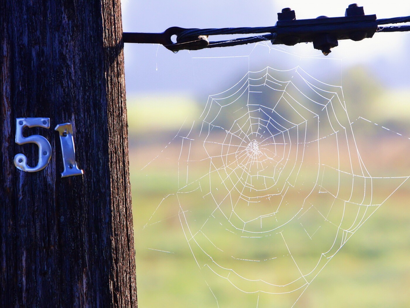 Паутина 51 обои