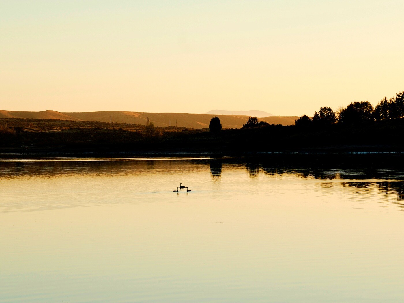 Утиное озеро обои