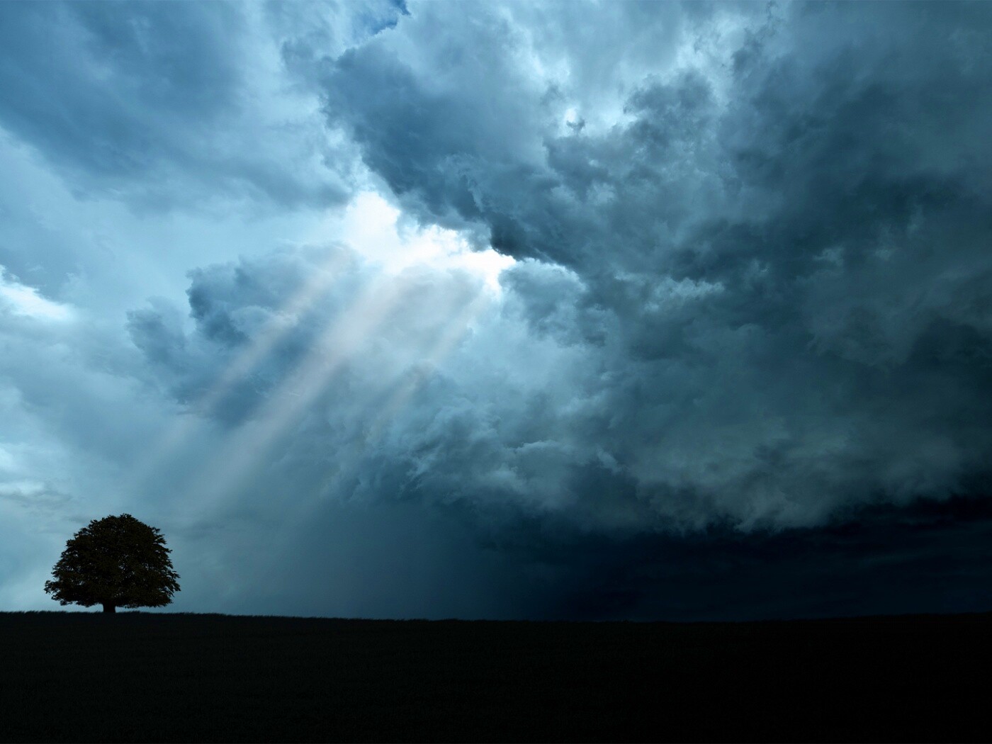 Избранный обои