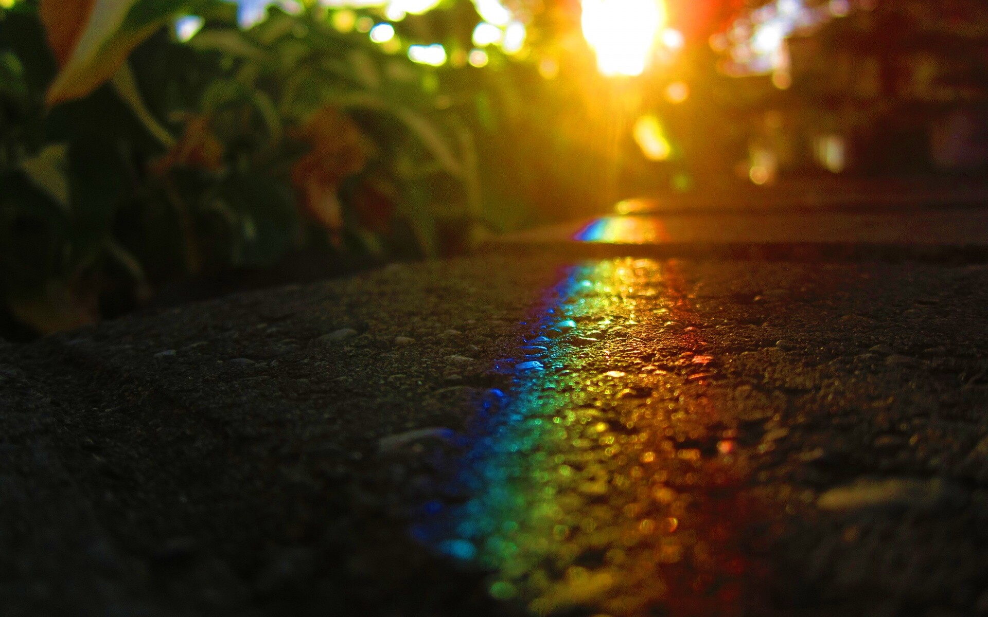 Макро радуга на камне обои