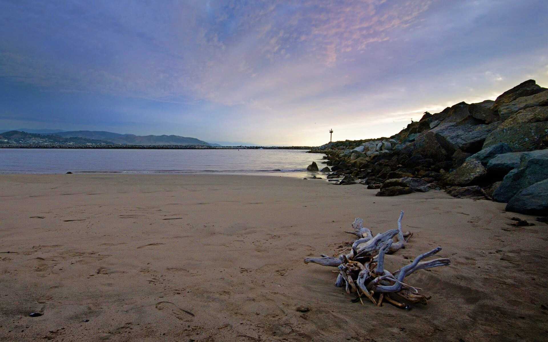 Коряга не берегу обои