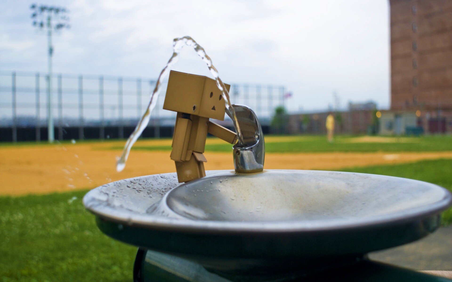 Дандо пьет в воду из фонтанчика обои