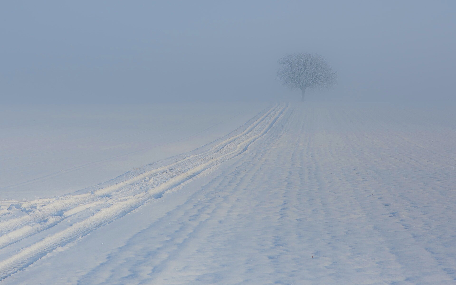 Заснеженное поле обои