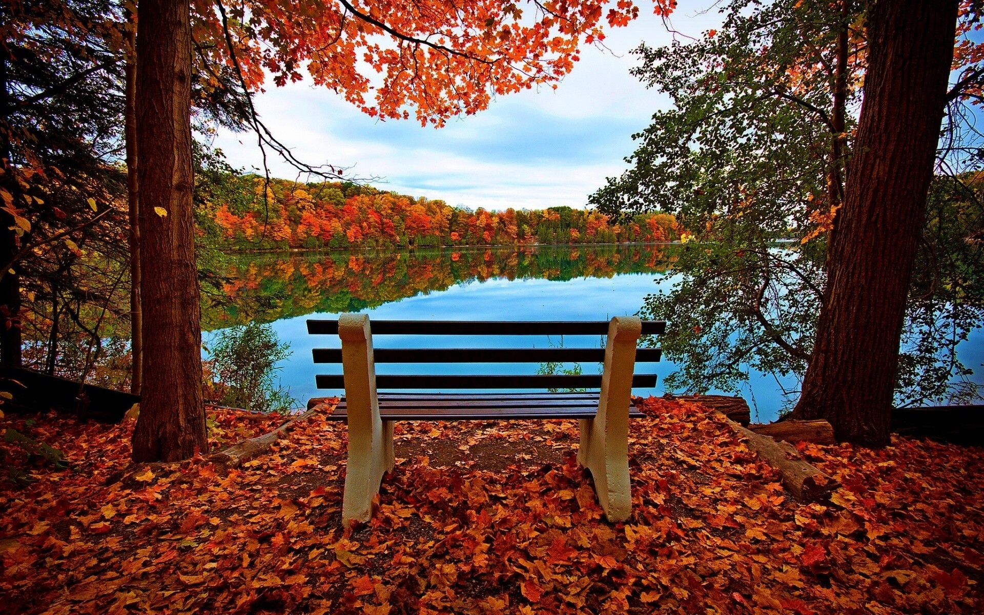 Вид на осеннее озеро обои