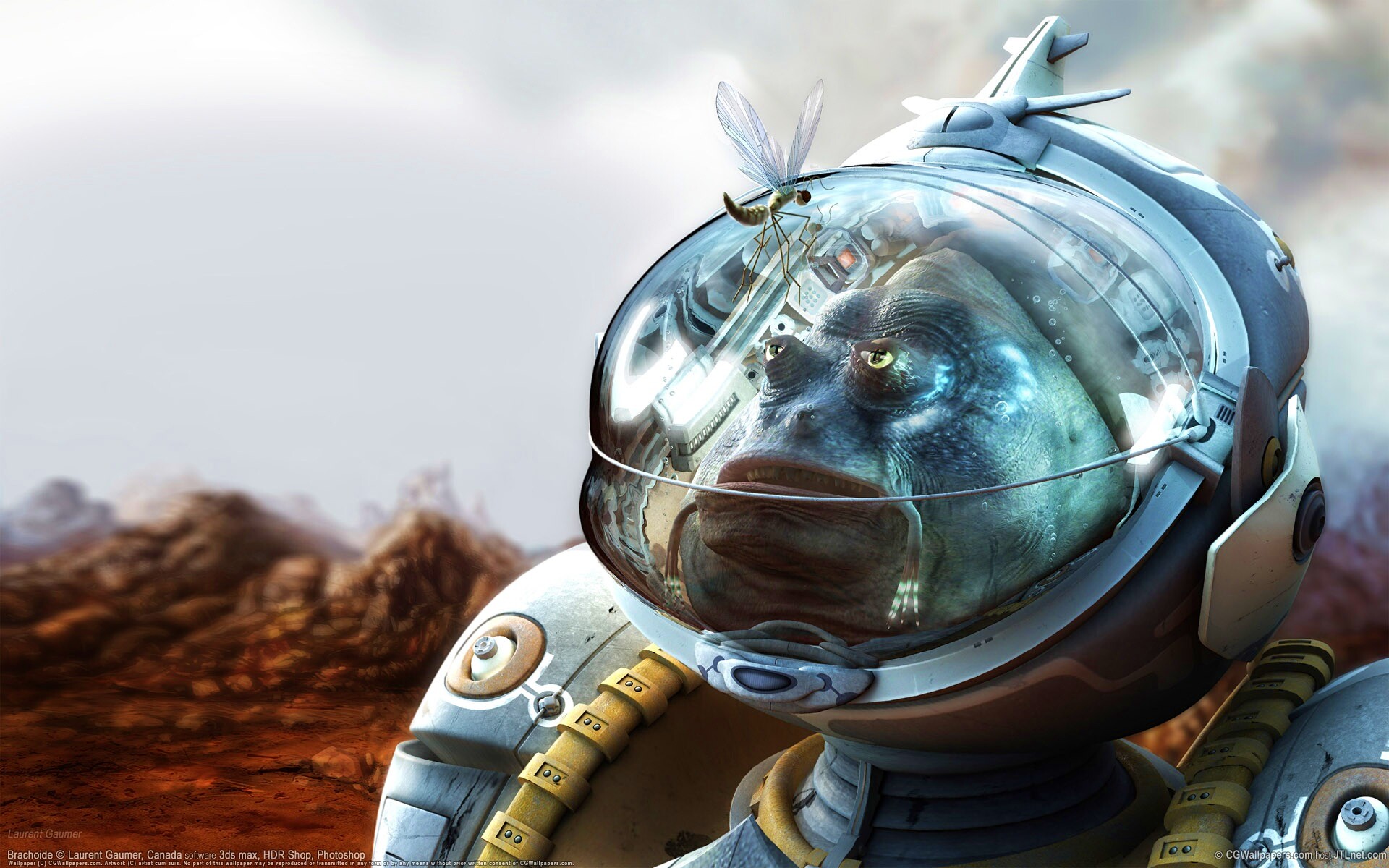 Инопланетянин и стрекоза обои