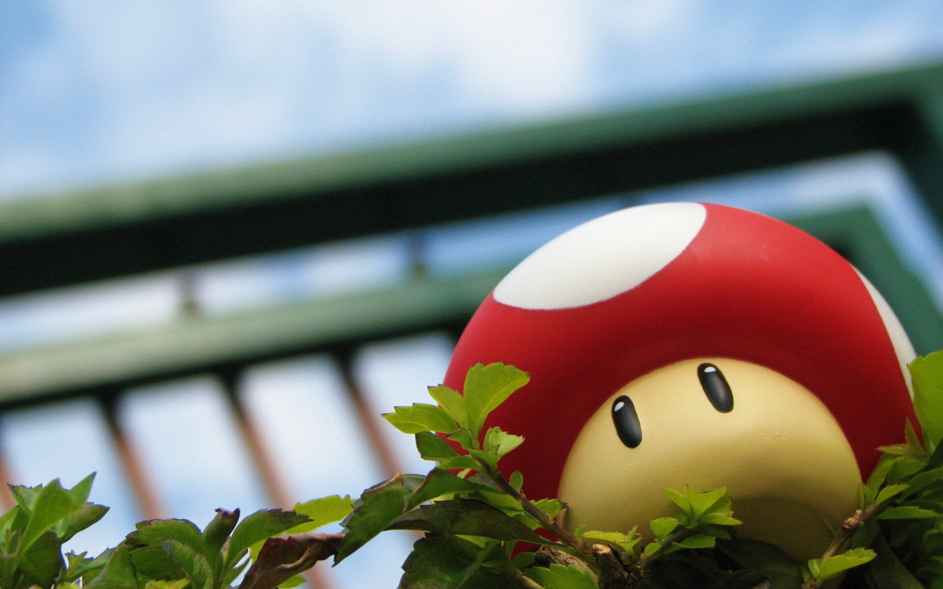 Гриб из Марио обои