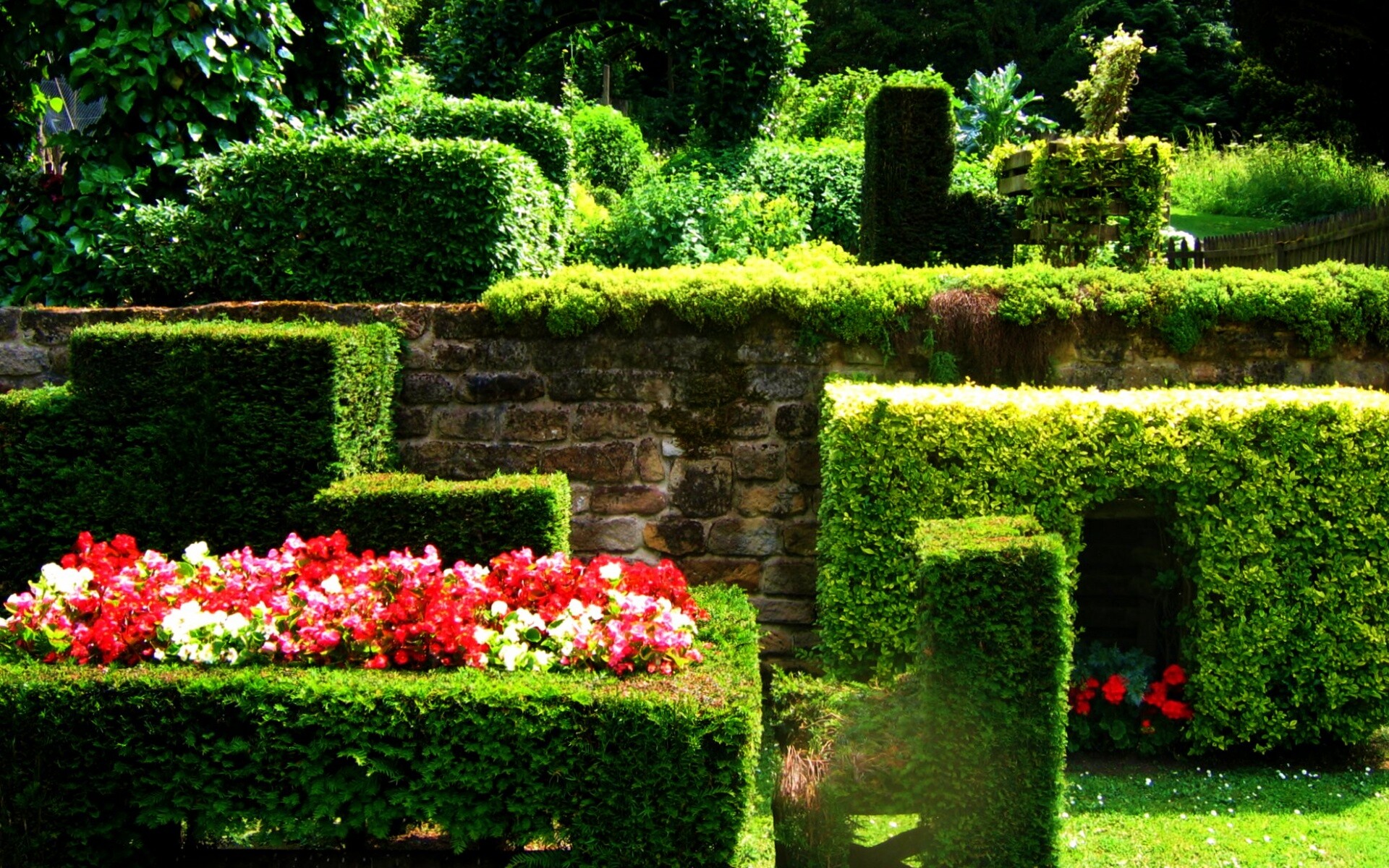 Декоративный сад обои