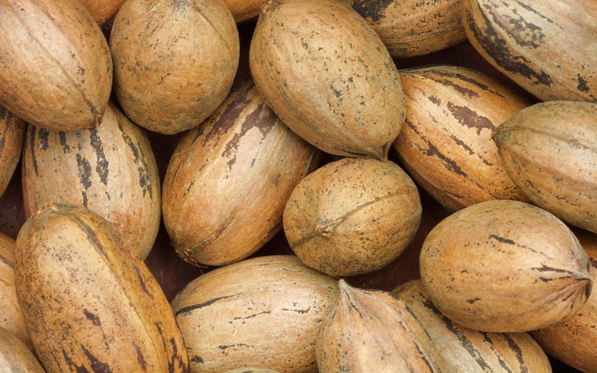 Грецкие орехи обои