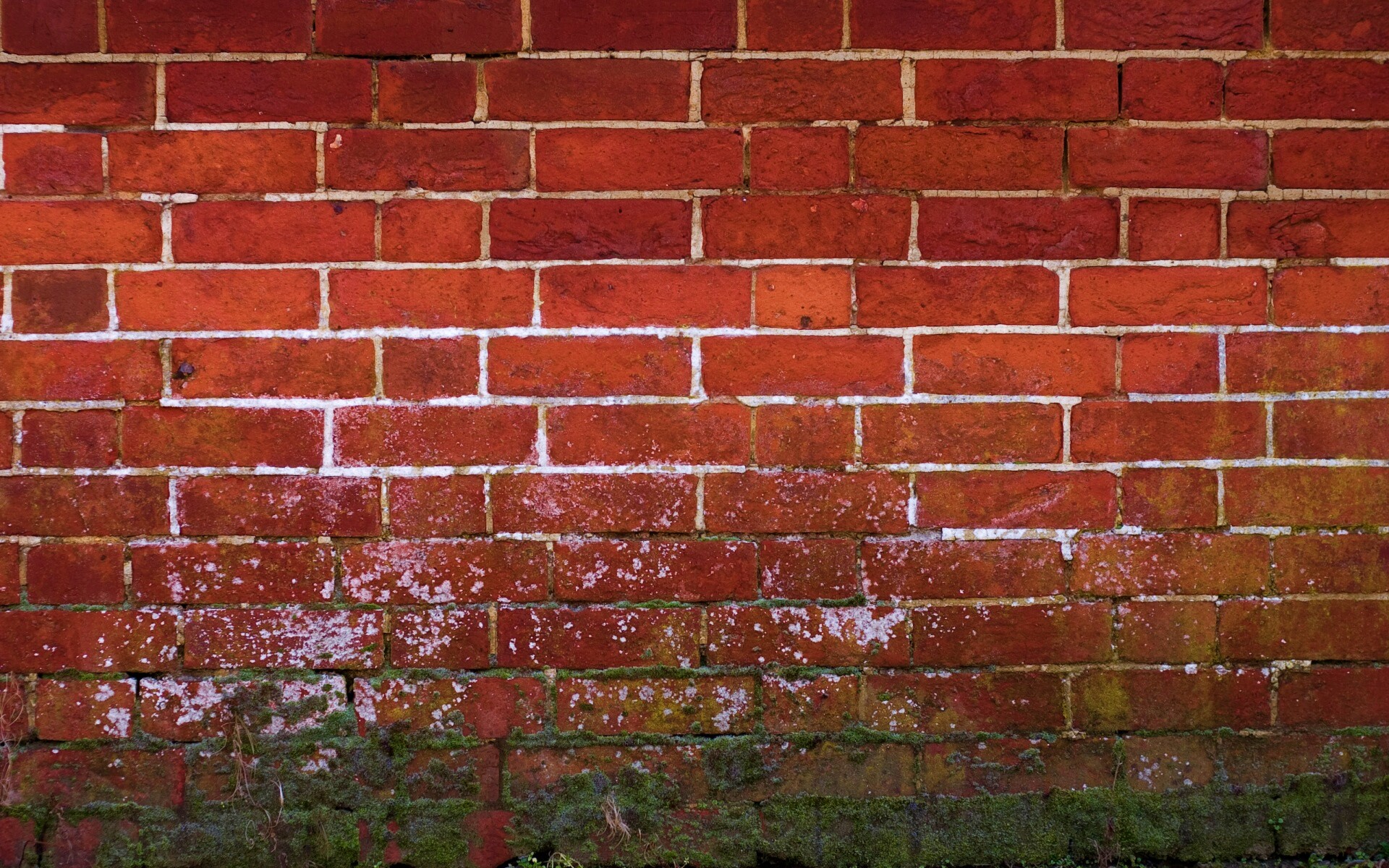 Старая кирпичная стена обои