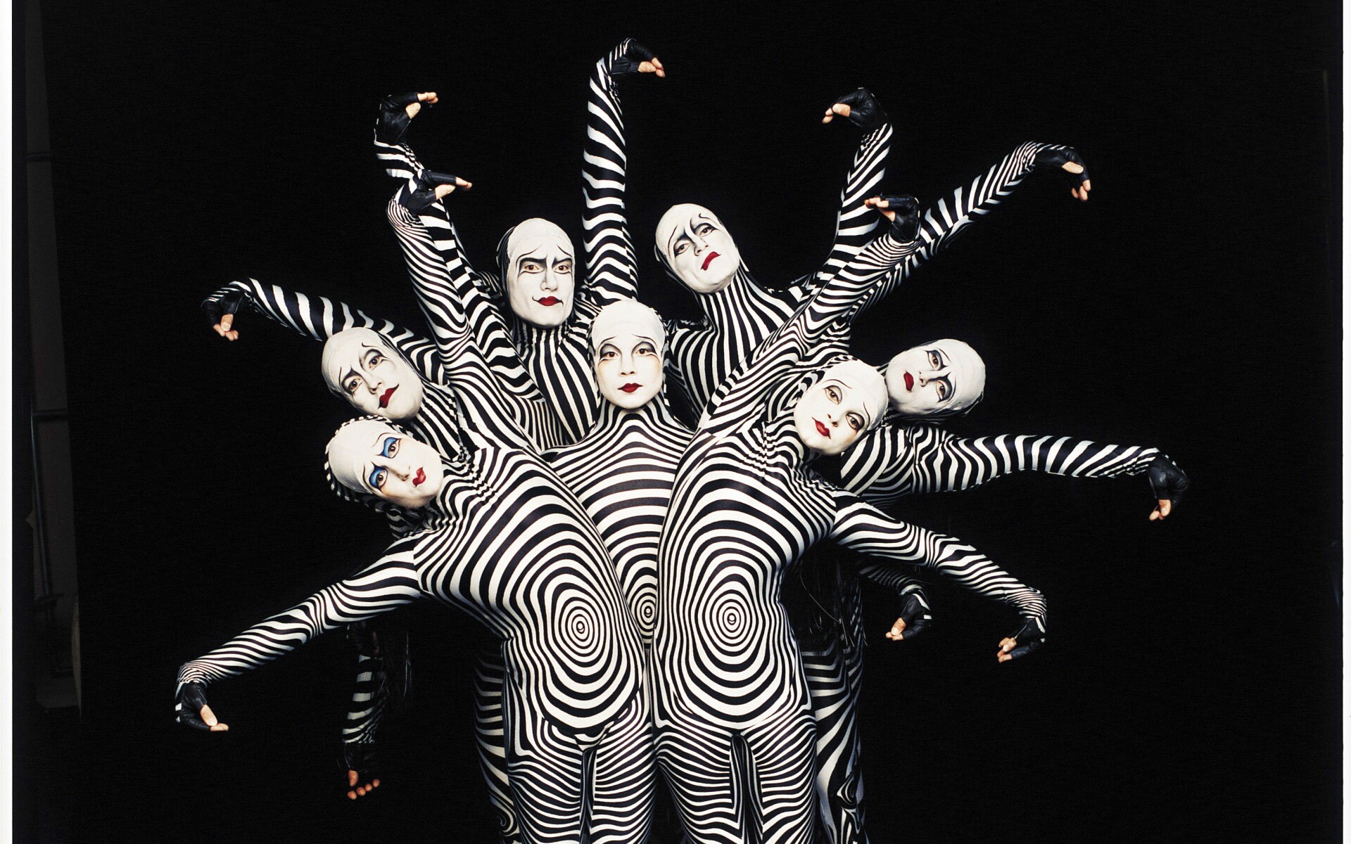 Зеброиды (актеры цирка дю солей) обои